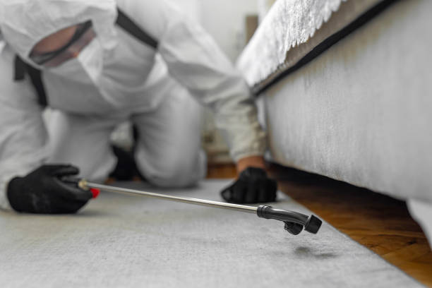 Professional Ant Control technician working in Wollochet, WA