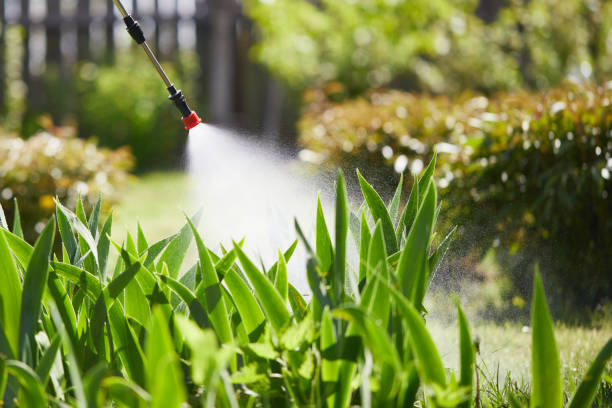 24/7 Emergency Mosquito Control experts in Wollochet, WA