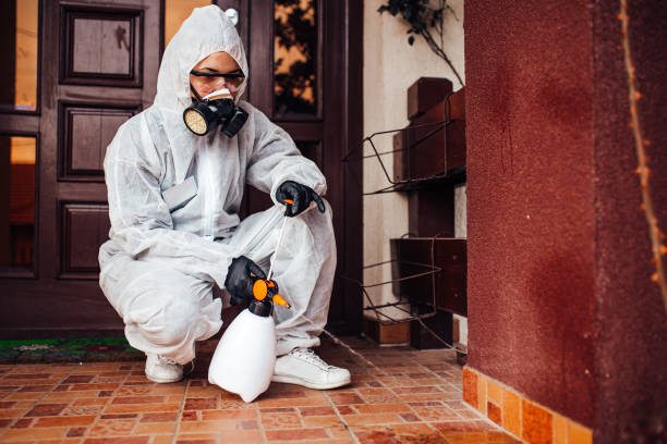 Reliable Mosquito Control contractor in Wollochet, WA by Show Me Pest Control