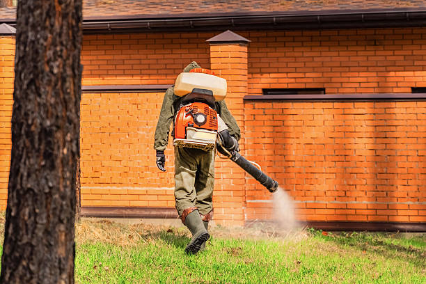 Top rated local Mosquito Control specialists in Wollochet, WA